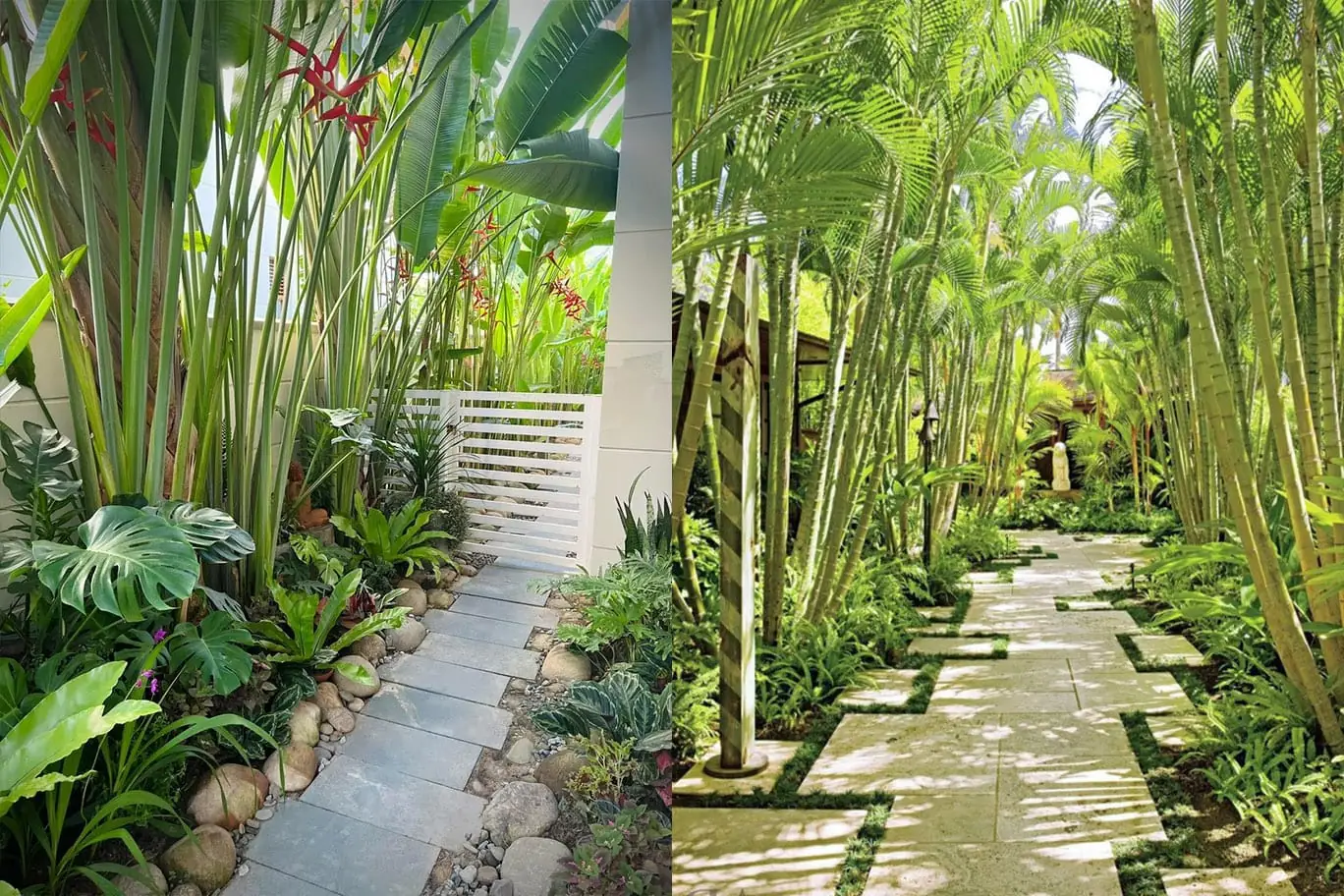 Các phong cách thiết kế nhà vườn nhiệt đới